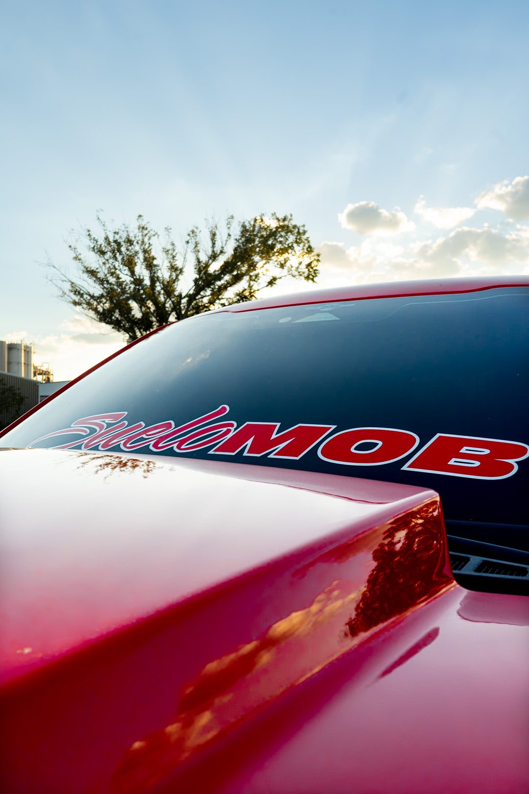 SueloMob Windshield Custom Color (Inside & Outline)