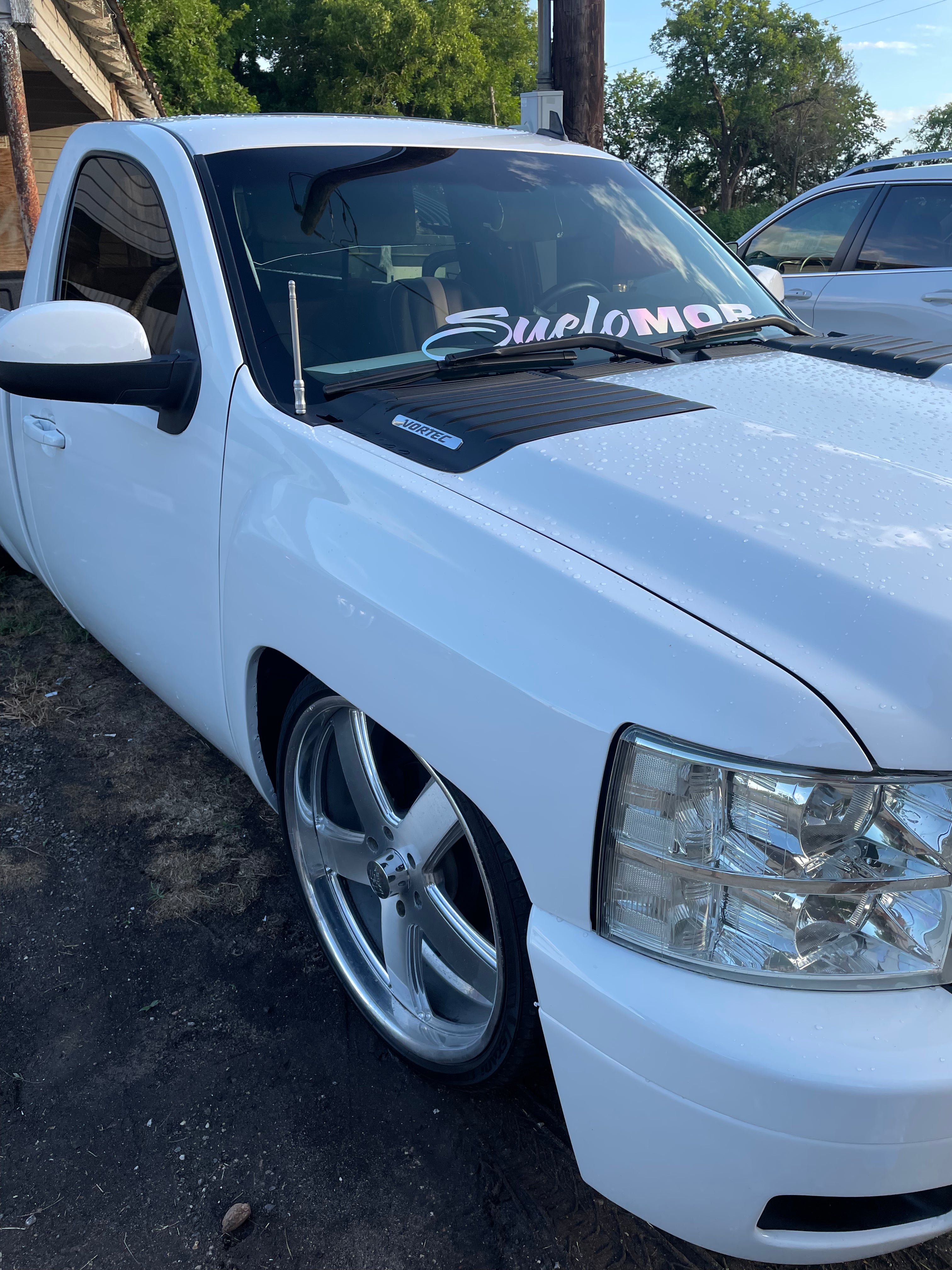 Holographic SueloMob Windshield Decal